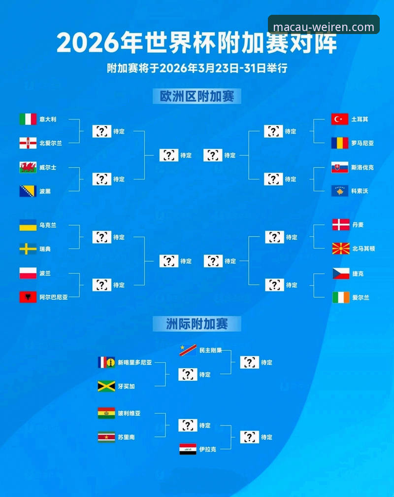 澳门威斯人游戏网站登录 资深球迷必备知识:从帕尼切利伤退看大赛前的阵容风险管理